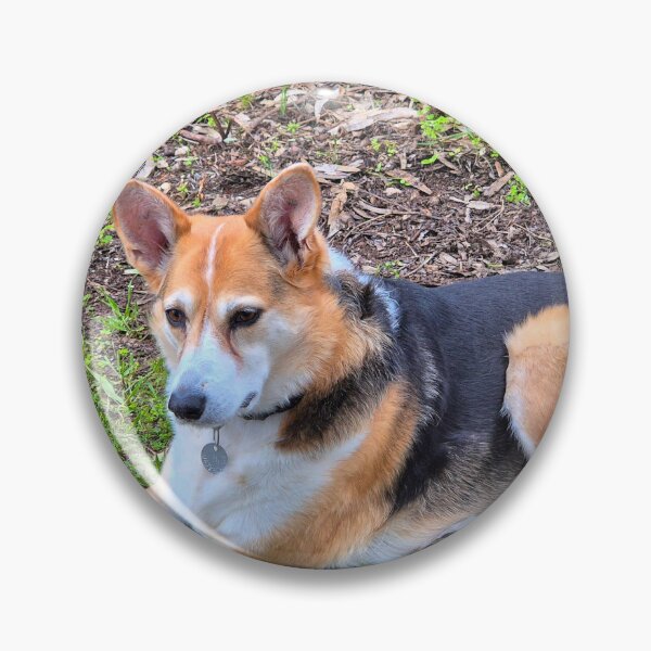 Item preview, Adorable pet dog waiting patiently designed and sold by FranWest.