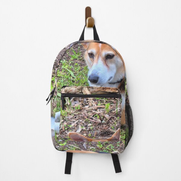 Item preview, Adorable pet dog waiting patiently designed and sold by FranWest.