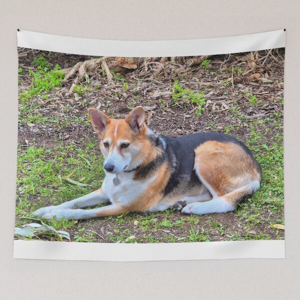 Item preview, Adorable pet dog waiting patiently designed and sold by FranWest.