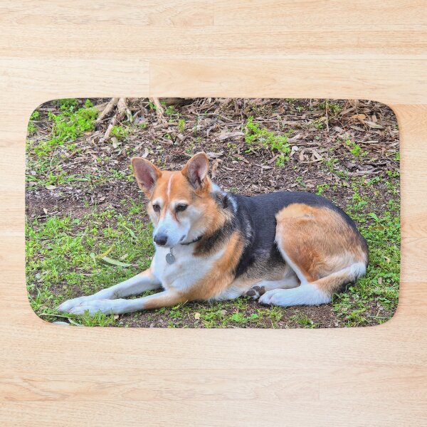 Item preview, Adorable pet dog waiting patiently designed and sold by FranWest.