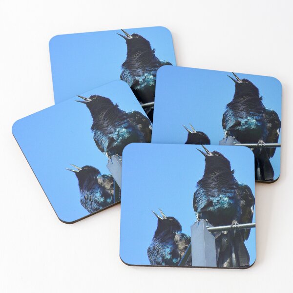 Item preview, Singing Grackles At Lakefront Park  designed and sold by MercerImages.