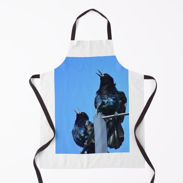 Item preview, Singing Grackles At Lakefront Park designed and sold by MercerImages.