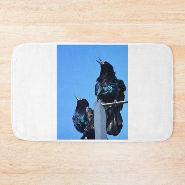 Item preview, Singing Grackles At Lakefront Park  designed and sold by MercerImages.