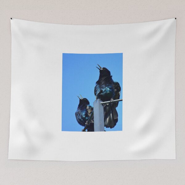 Item preview, Singing Grackles At Lakefront Park  designed and sold by MercerImages.