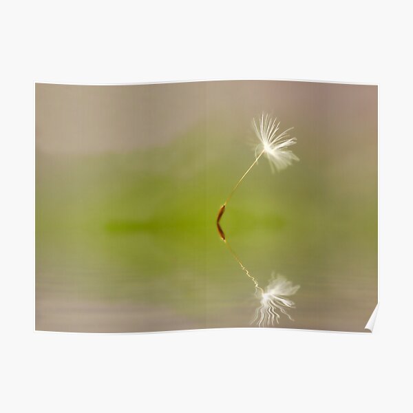 Lone Dancer Poster