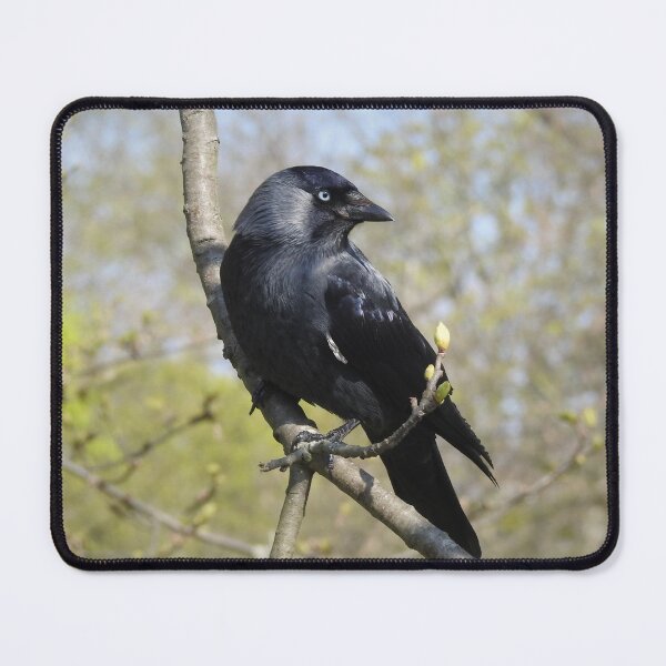 Item preview, BLACK IS BEAUTIFUL designed and sold by NatureWatch10.
