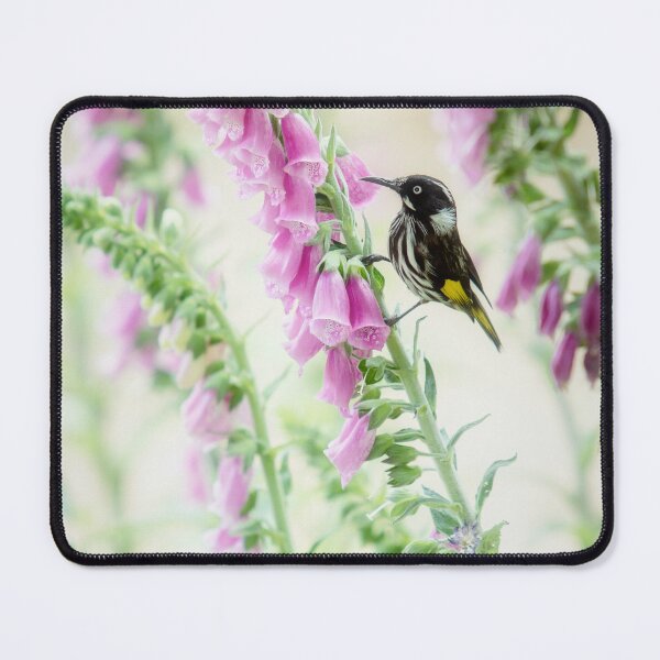 Item preview, Honeyeater on Pink Flowers designed and sold by yolanda.