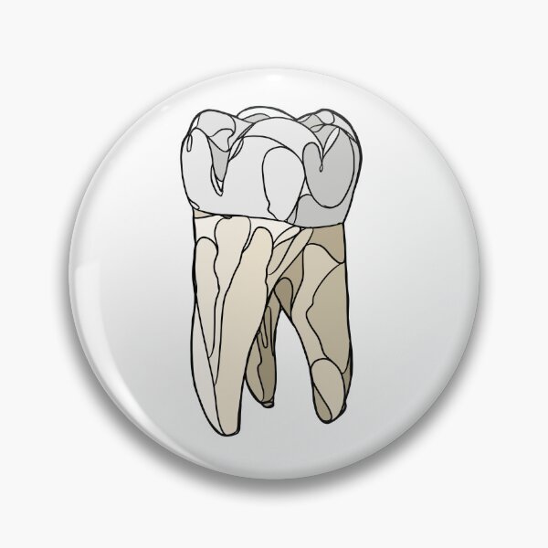Artikelvorschau, Farbige Strichzeichnungen des ersten Backenzahns! entworfen und verkauft von DentalStudentGR.