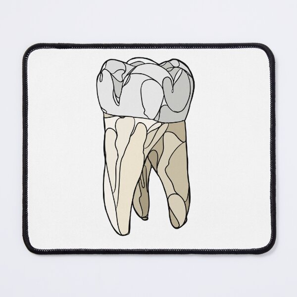 Item preview, First Molar Coloured Line Art! designed and sold by DentalStudentGR.