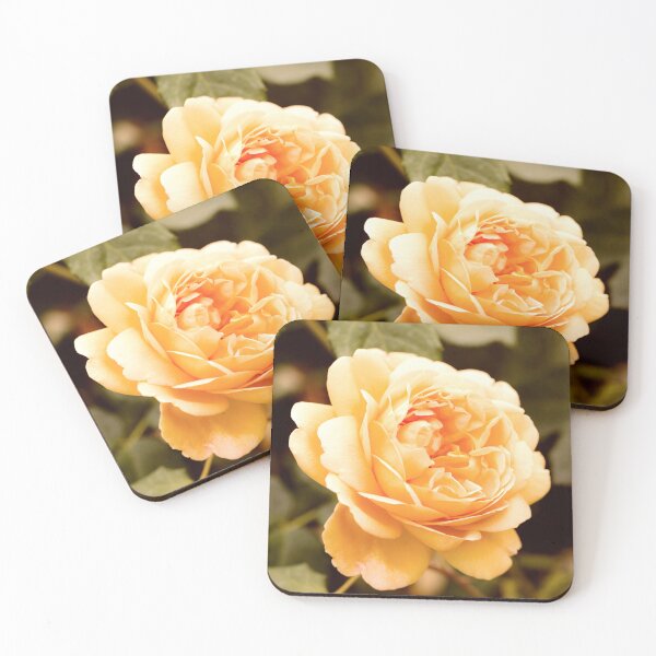 Item preview, Soft Sienna Rose designed and sold by Tanya C  Smith.