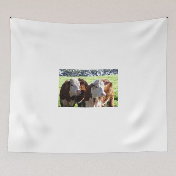 Item preview, Two Poll Herefords designed and sold by davidjc.