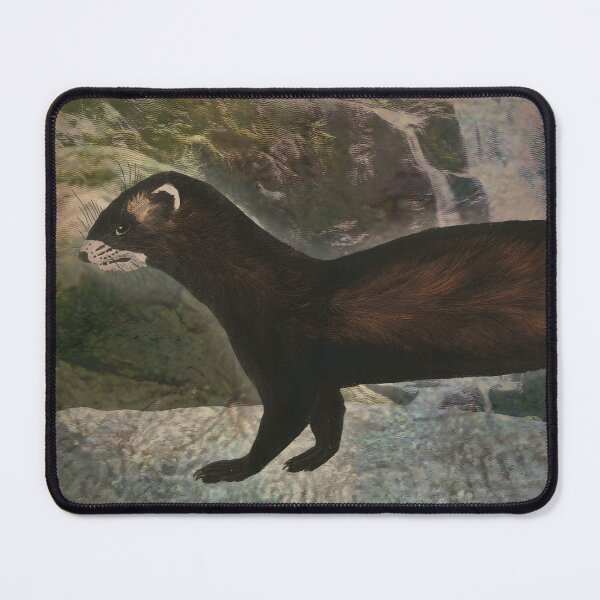 Item preview, Polecat Forest Predator Woodland Creature designed and sold by SoulscapeStudio.