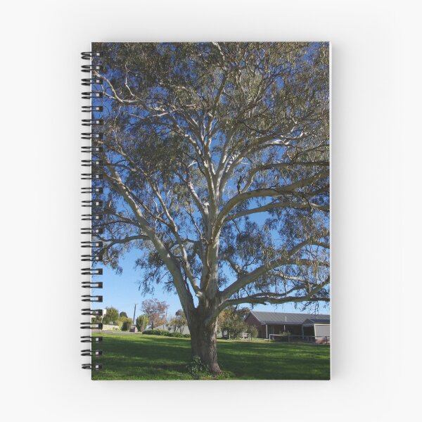 Item preview, Creek walk Eucalypt designed and sold by davidjc.