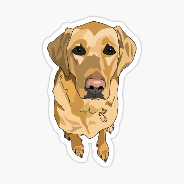 Item preview, Baymax The Labrador designed and sold by emilydevineart.