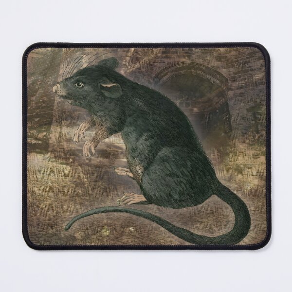 Item preview, Rat Nature Urban Rodent Wildlife designed and sold by SoulscapeStudio.