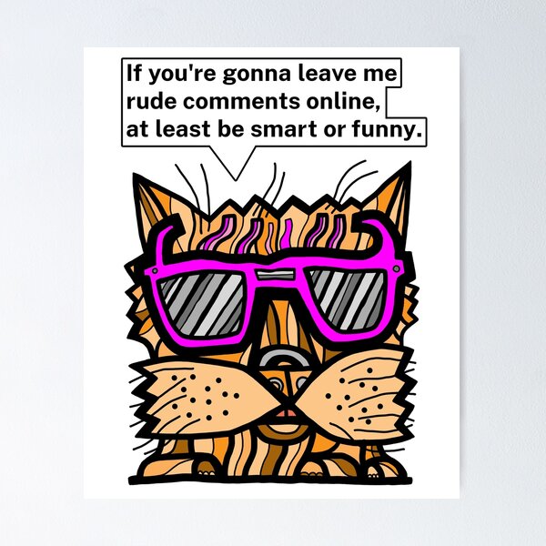 "If you're gonna leave me rude comments online, at least be smart or funny." Poster