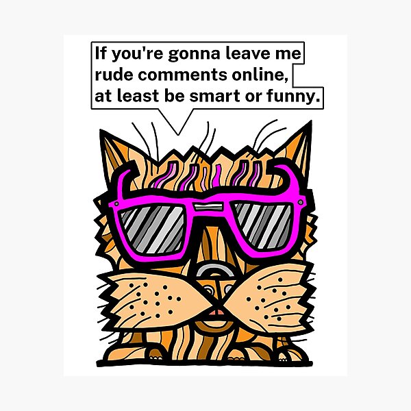 "If you're gonna leave me rude comments online, at least be smart or funny." Photographic Print