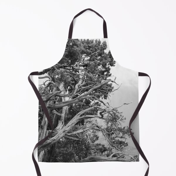 Item preview, Twisted Pine designed and sold by HausHatfield.
