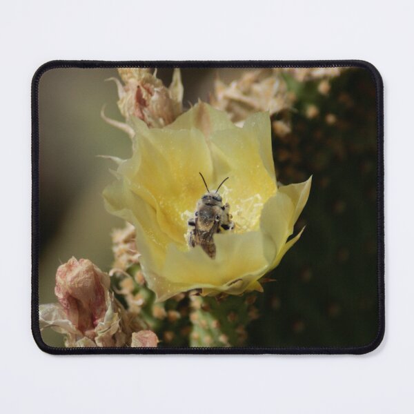 Item preview, Opuntia Hymenoptera designed and sold by HausHatfield.