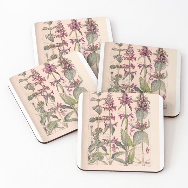 Item preview, British Wild Flower Series – Dead Nettle Family designed and sold by edwardkirkwood.