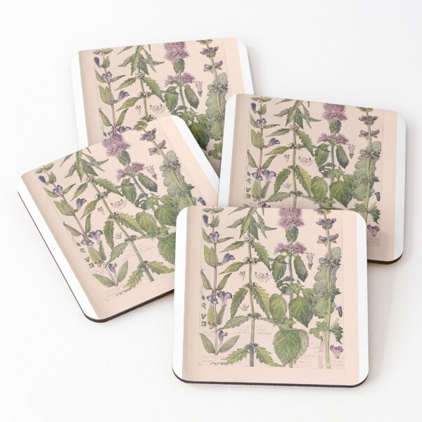 Item preview, British Wild Flower Series – Dead Nettle Family designed and sold by edwardkirkwood.