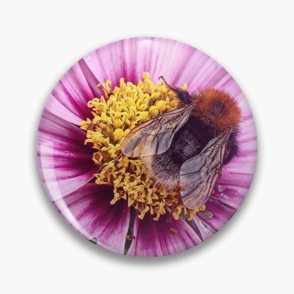 Item preview, Bee on flower designed and sold by MadebymelissaUK.