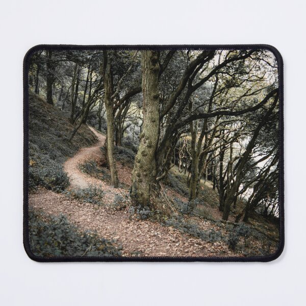 Item preview, Winding forest path designed and sold by Zolachrome Photography.