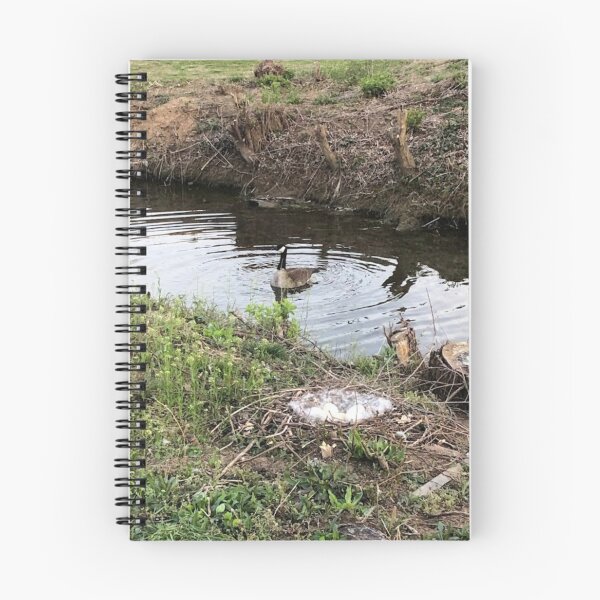 Item preview, Nesting Geese designed and sold by EclecticKrys.