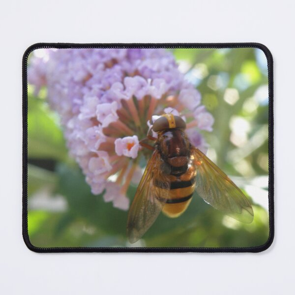 Item preview, Hoverfly and Buddleia Flowers Photograph designed and sold by naturegallery.