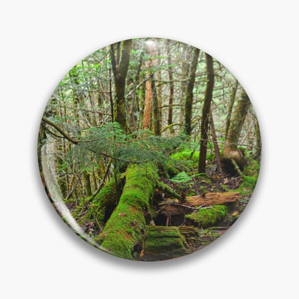 Item preview, Mount Mitchell North Carolina Mossy Trail designed and sold by LisaWootenPhoto.
