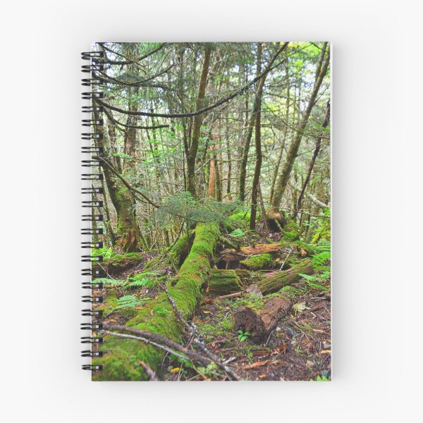 Item preview, Mount Mitchell North Carolina Mossy Trail designed and sold by LisaWootenPhoto.
