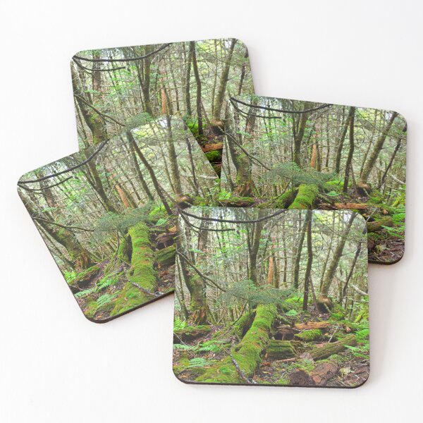 Item preview, Mount Mitchell North Carolina Mossy Trail designed and sold by LisaWootenPhoto.
