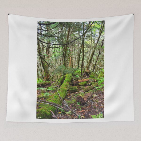Item preview, Mount Mitchell North Carolina Mossy Trail designed and sold by LisaWootenPhoto.