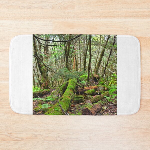 Item preview, Mount Mitchell North Carolina Mossy Trail designed and sold by LisaWootenPhoto.