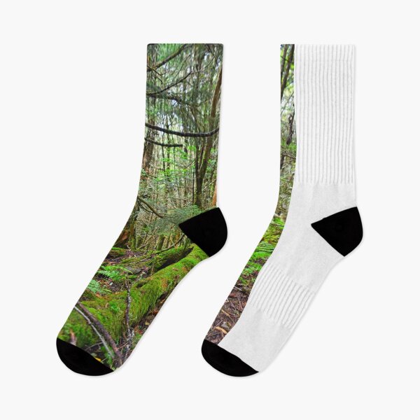 Item preview, Mount Mitchell North Carolina Mossy Trail designed and sold by LisaWootenPhoto.