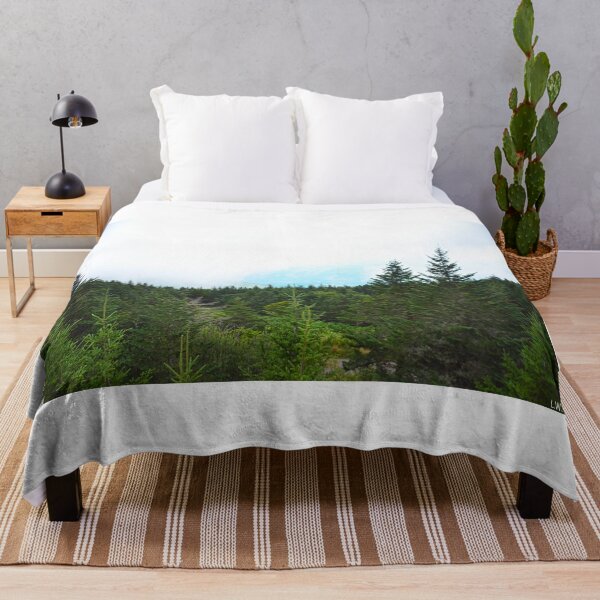 Item preview, Not The View I Was Hoping For Mount Mitchell North Carolina designed and sold by LisaWootenPhoto.