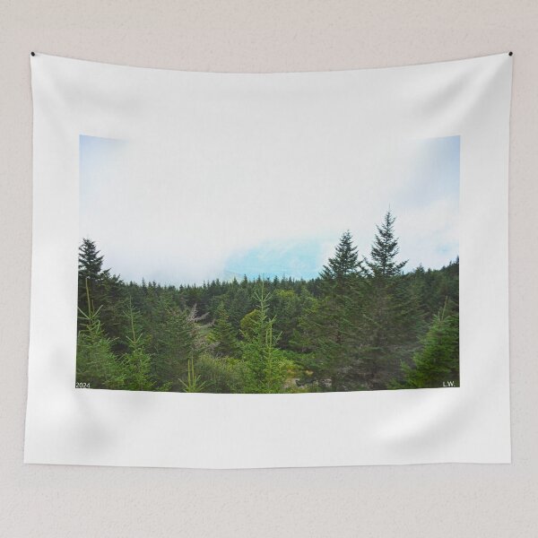 Item preview, Not The View I Was Hoping For Mount Mitchell North Carolina designed and sold by LisaWootenPhoto.