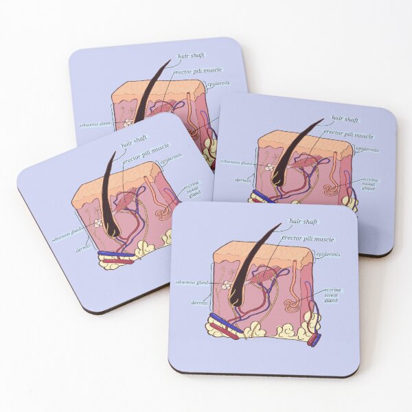 Item preview, Hair skin anatomy illustration  designed and sold by Madie Kay.