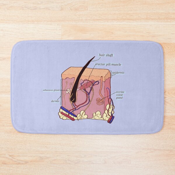 Item preview, Hair skin anatomy illustration  designed and sold by Madie Kay.