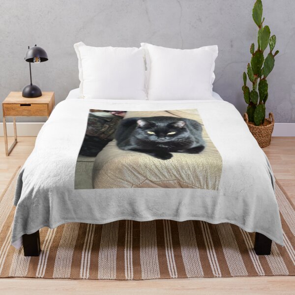Item preview, Black cat for all seasons designed and sold by BasketKisses.
