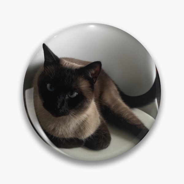 Item preview, A Siamese cat & thats that!  designed and sold by BasketKisses.