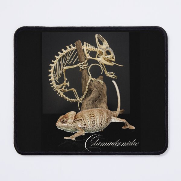 Item preview, Chamaeleonidae Skeleton & Chameleon Wildlife Design designed and sold by EarthArtDesigns.