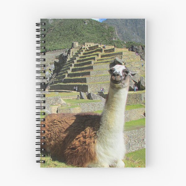 Artikelvorschau, Süßes Lama in Machu Picchu entworfen und verkauft von Global Nomad.