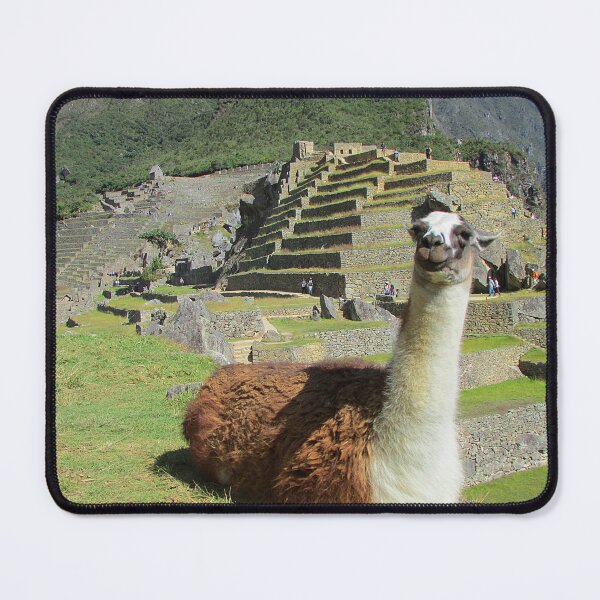 Item preview, Cute Llama at Machu Picchu designed and sold by Global Nomad.