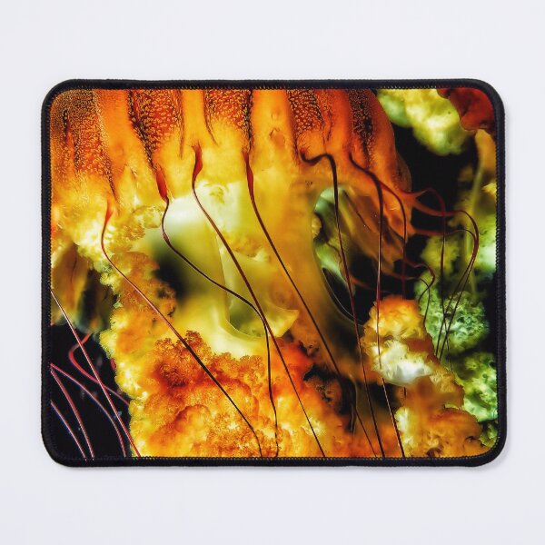 Item preview, Jellyfish designed and sold by David Blair Studios.