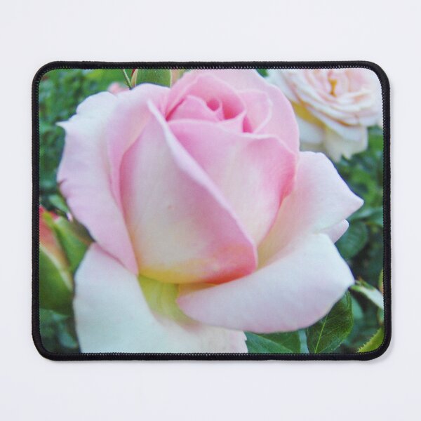 Item preview, pink rose designed and sold by vogtvisions.