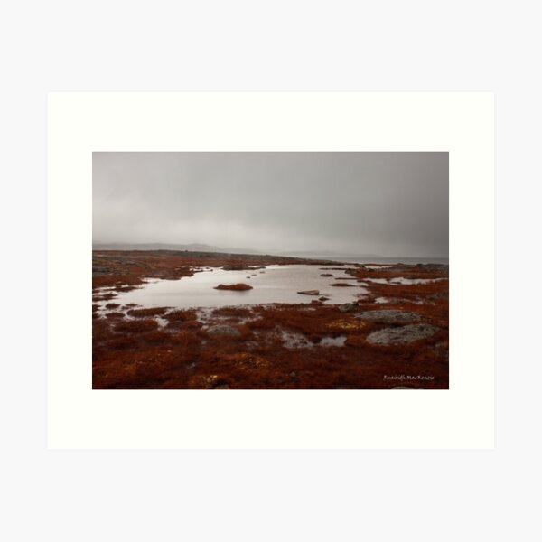 Item preview, Reds of Qikirtajuaq designed and sold by SalishSeascapes.