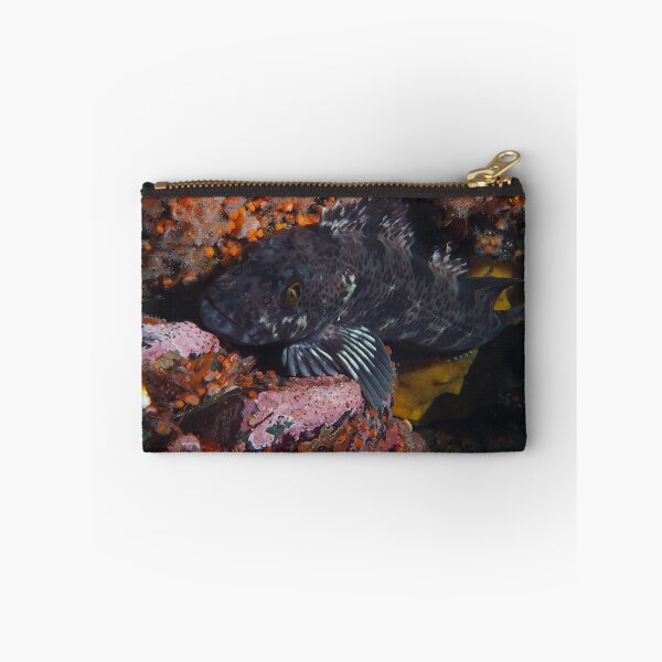 Item preview, A Coy Cod designed and sold by SalishSeascapes.