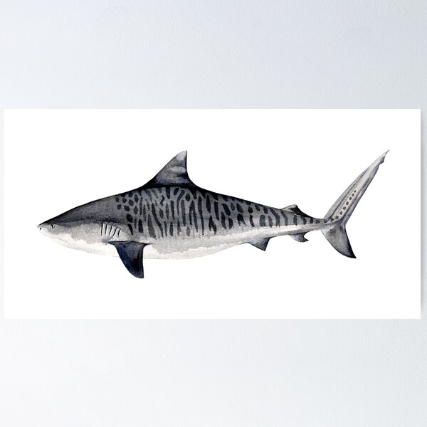 Item preview, TIGER SHARK designed and sold by BEATRIZ ABAITUA.