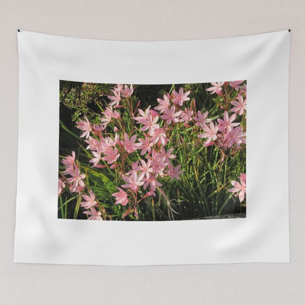 Item preview, Kaffir Lilies, South Brent designed and sold by lezvee.